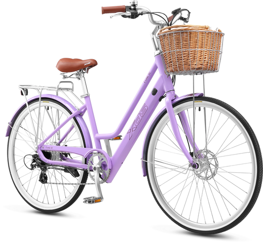 XDS E-Conic Vintage E-Bike