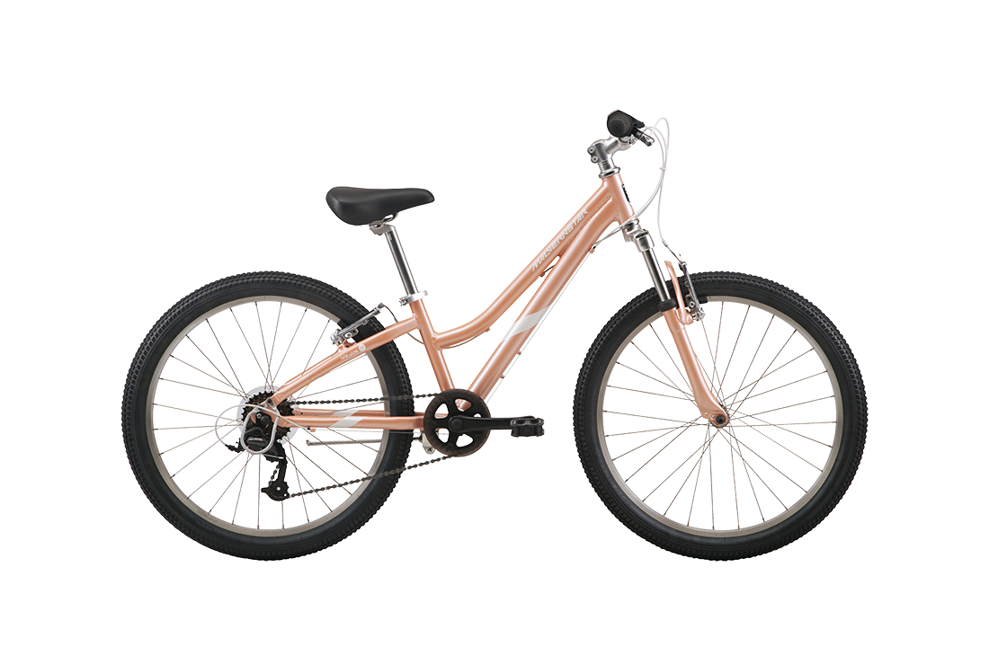 Malvern Star Livewire 24" Kids Bike