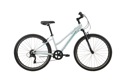 Malvern Star Storm 1 Women's Mountain Bike