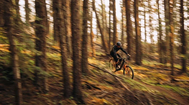 Mountain Bikes