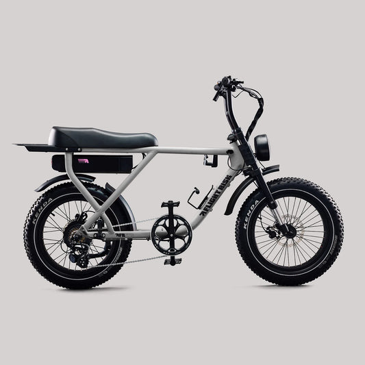 Flight Risk 505 Series 2