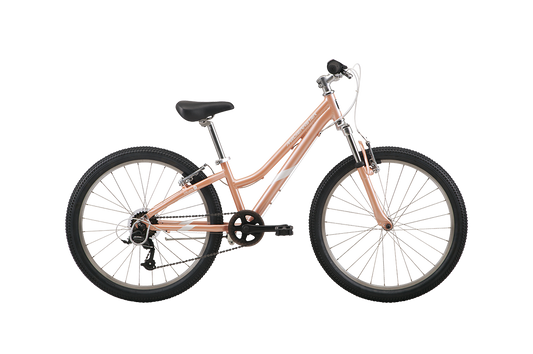 Malvern Star Livewire 24" Kids Bike