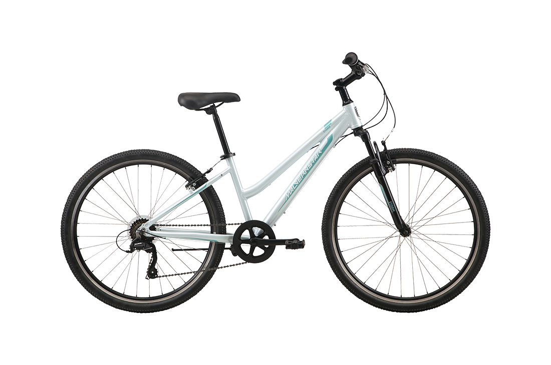 Malvern Star Storm 1 Women's Mountain Bike